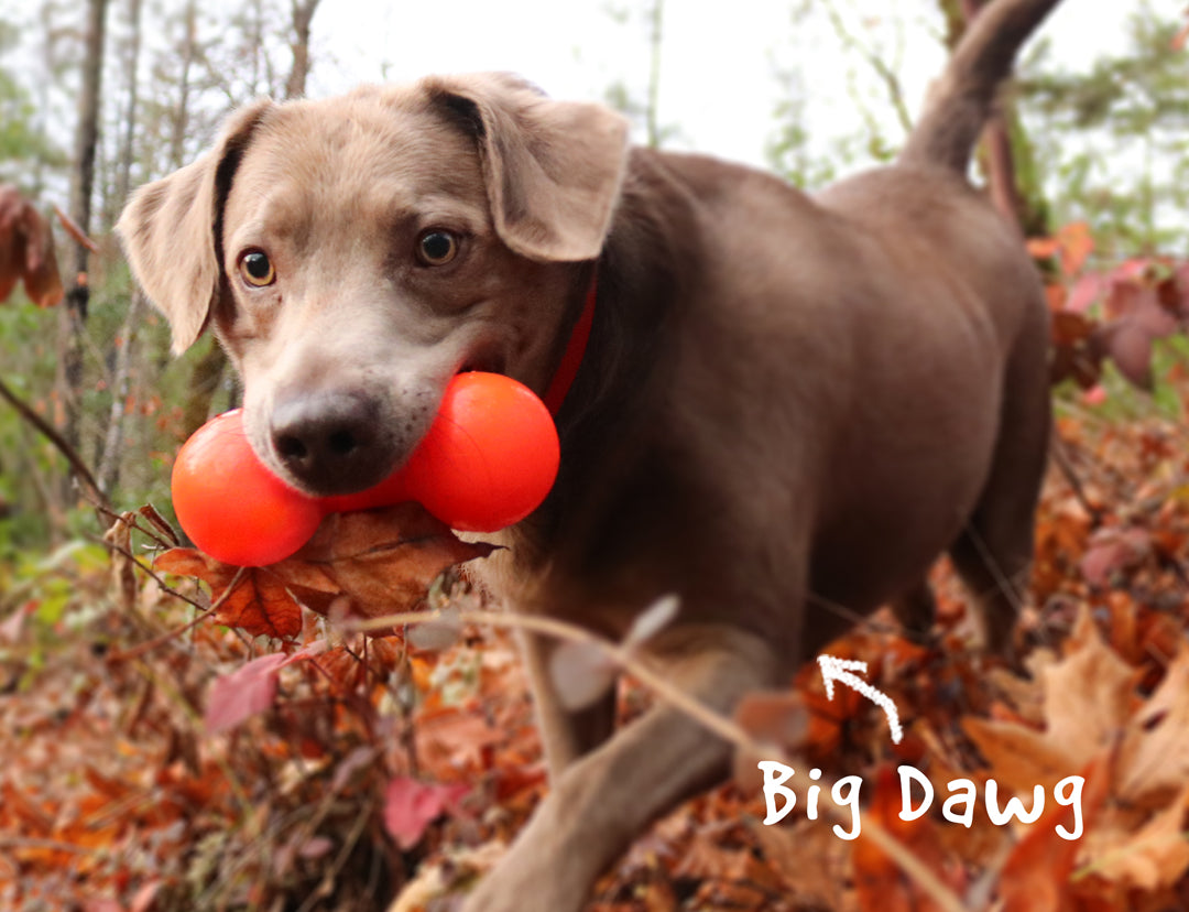 Big Dawg Rubber Barbell Toy by RuffDawg