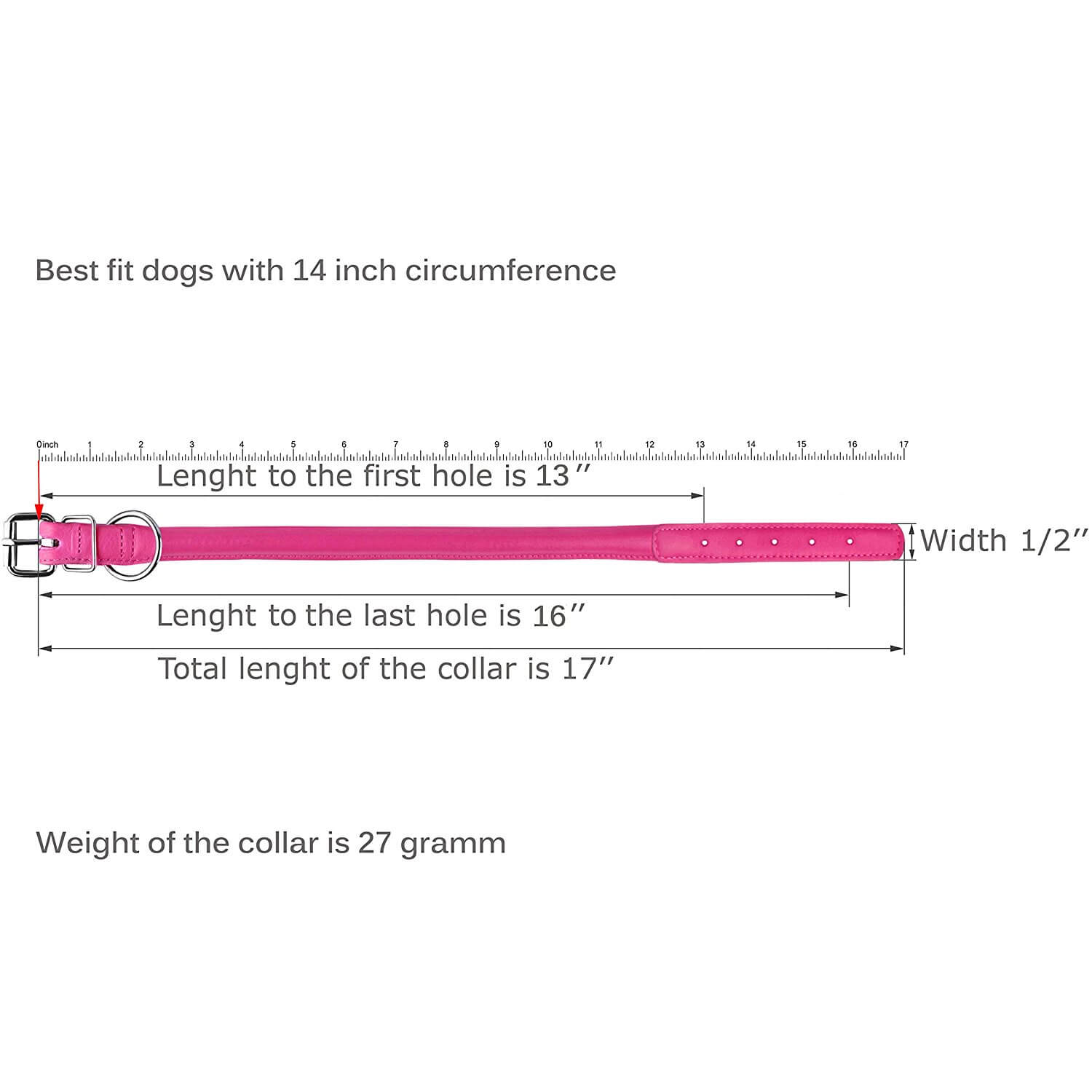 CollarDirect Rolled Leather Dog Collar for Small Dogs， Purple