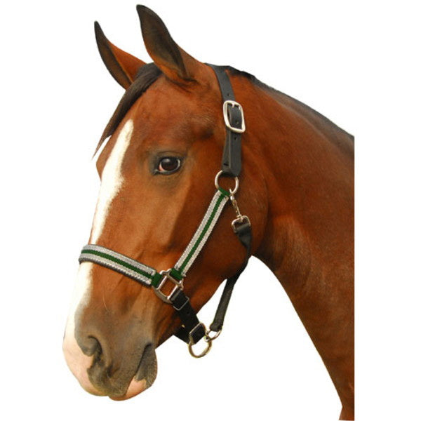 Intrepid 126101N Breakaway Halter Leather Crown Padded for Horseand#44; Navy and Silver - Full