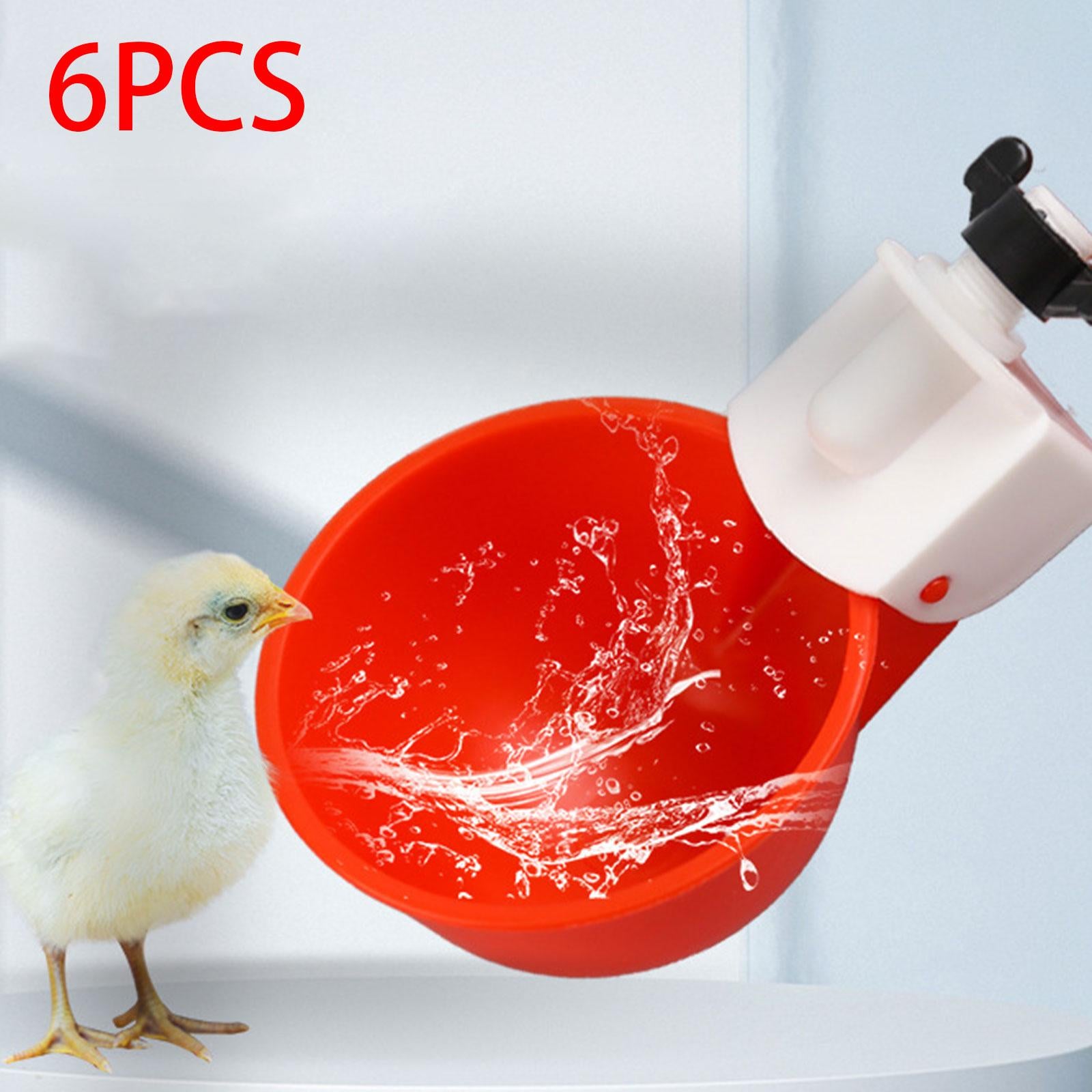 6x Chicken Water Cups Feeder Tools Chicken Feeder Cup for Quail Chick Coop Goose Red