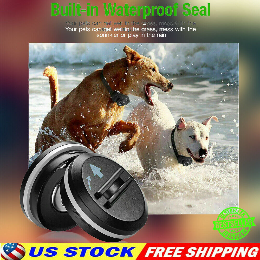 10 Pack 6V PetSafe RFA-67 Replacement Batteries Compatible with PetSafe Dog Collars