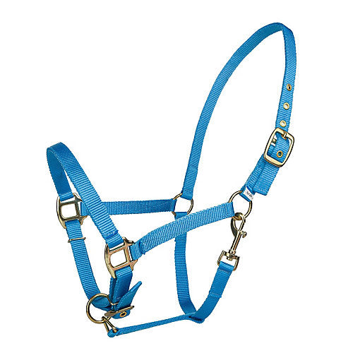 Tabelo Arab Nylon Halter w/Snap Arab Turquoise