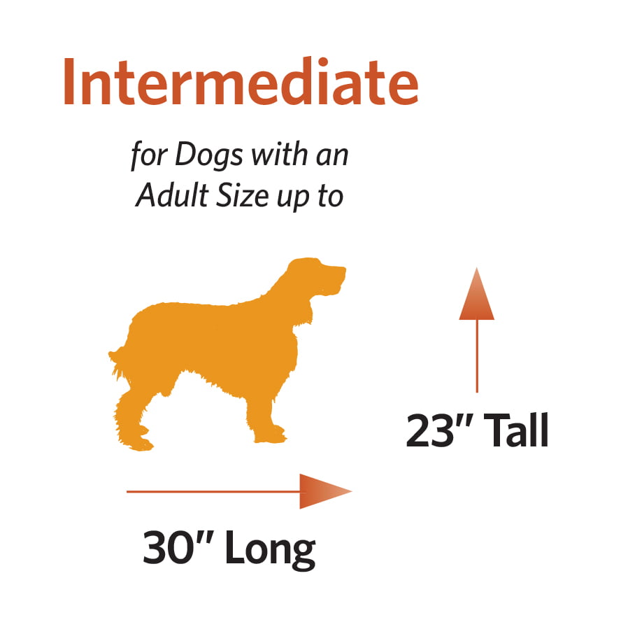 MidWest QuietTime Pet Bed and Dog Crate Mat， Powder Blue， 36