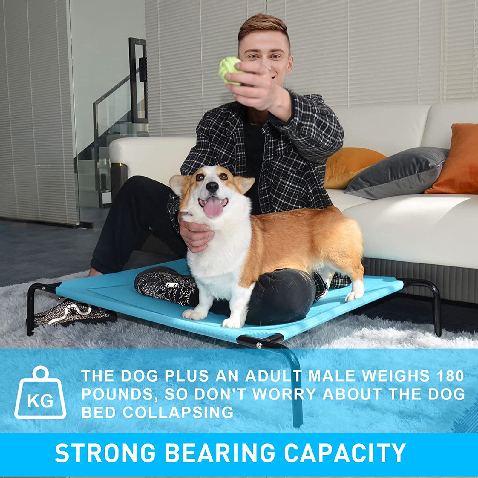 Extra Large Elevated Dog Bed - Raised Portable Pet Beds for Extra Large Medium Small Dogs - Blue