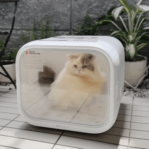Quiet Hands-Free Pet Dryer Cabin for Dogs & Cats | 360° Airflow & Low-Noise Design