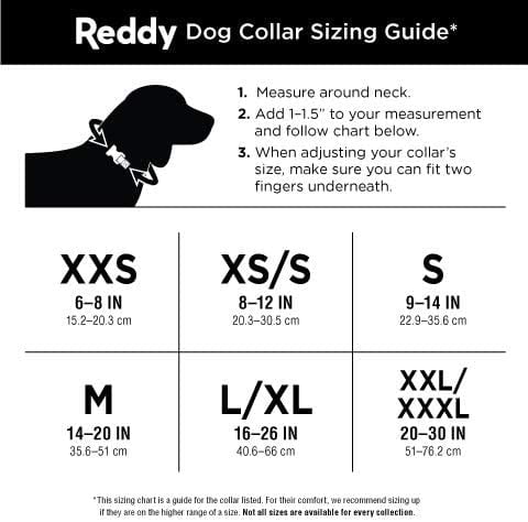 Reddy Grey Webbed Dog Collar， X-Small - 10 - 12 in