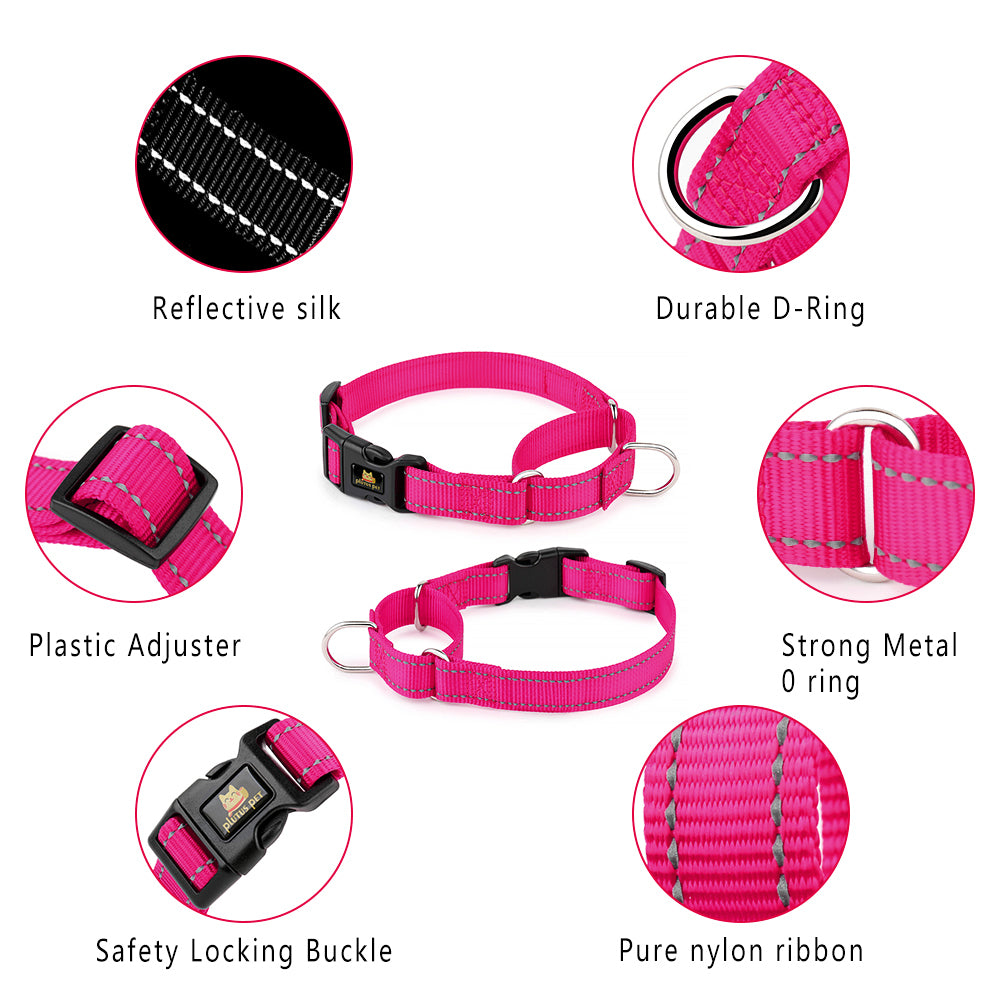 Plutus Pet Reflective Martingale Collar with Quick Snap Buckle