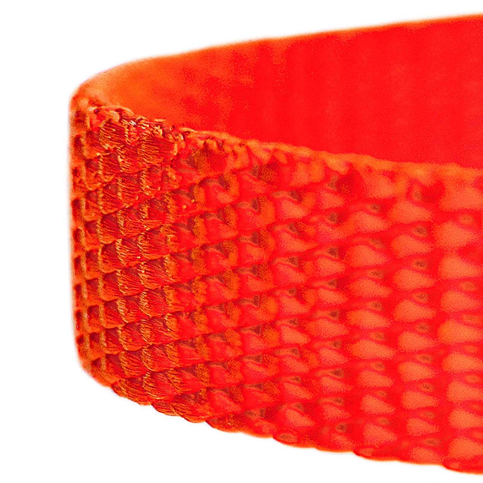 Country Brook Petz®  3/8 inch Nylon Dog Leash - Hot Orange， 6 Foot