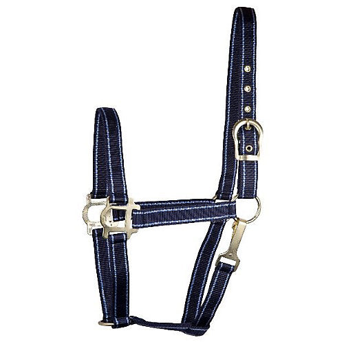 Gatsby Nylon 2-Tone Halter Horse Navy/Lt Blue