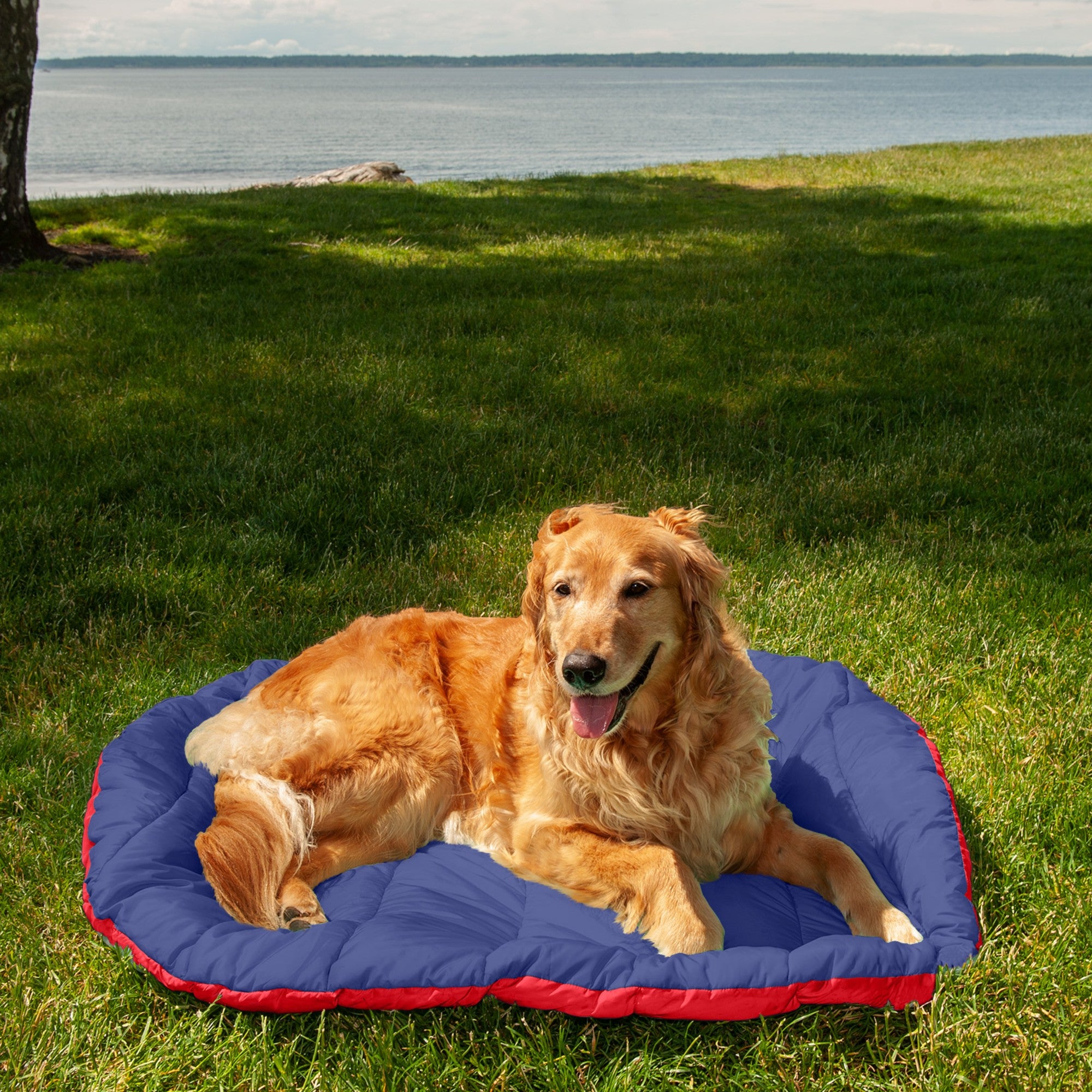 FurHaven | Trail Pup Packable Stuff Sack Travel Pillow Bed for Dogs and Cats， Flame Red and True Blue， Large