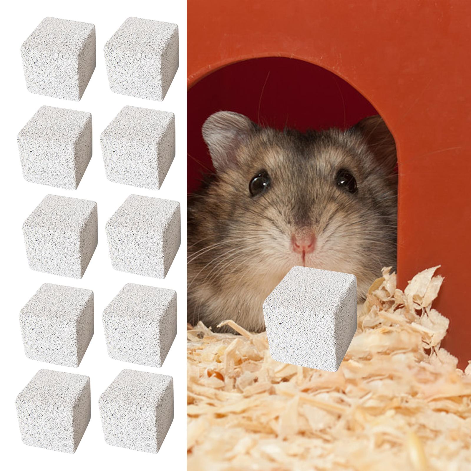 Set of 10 Stone Square Hamster Grinding Pet Supplies Grinding Chewing Toy Rodent Play Indoor Pet Playing Chew Toy Rat 3cm