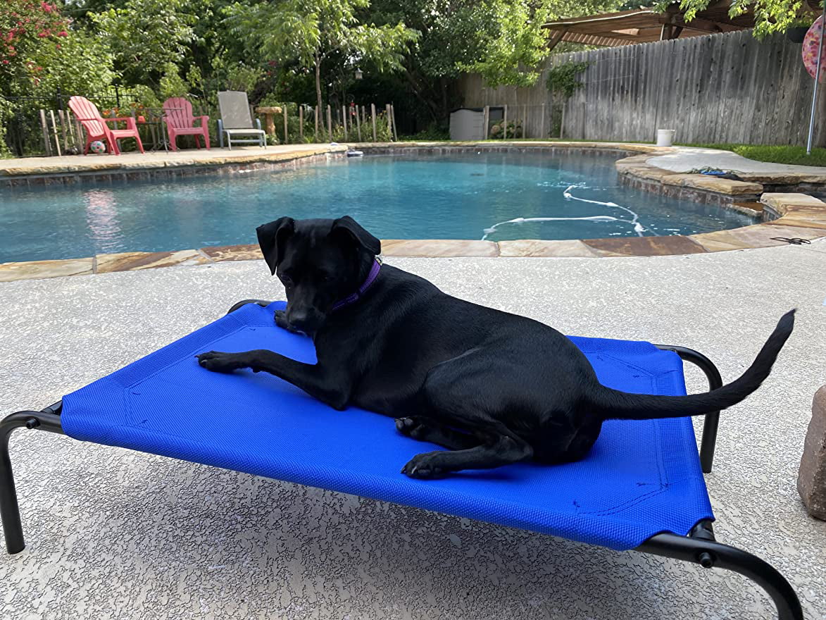 PHYEX Elevated Dog Bed， Raised Cooling Pet Cat Bed， 33