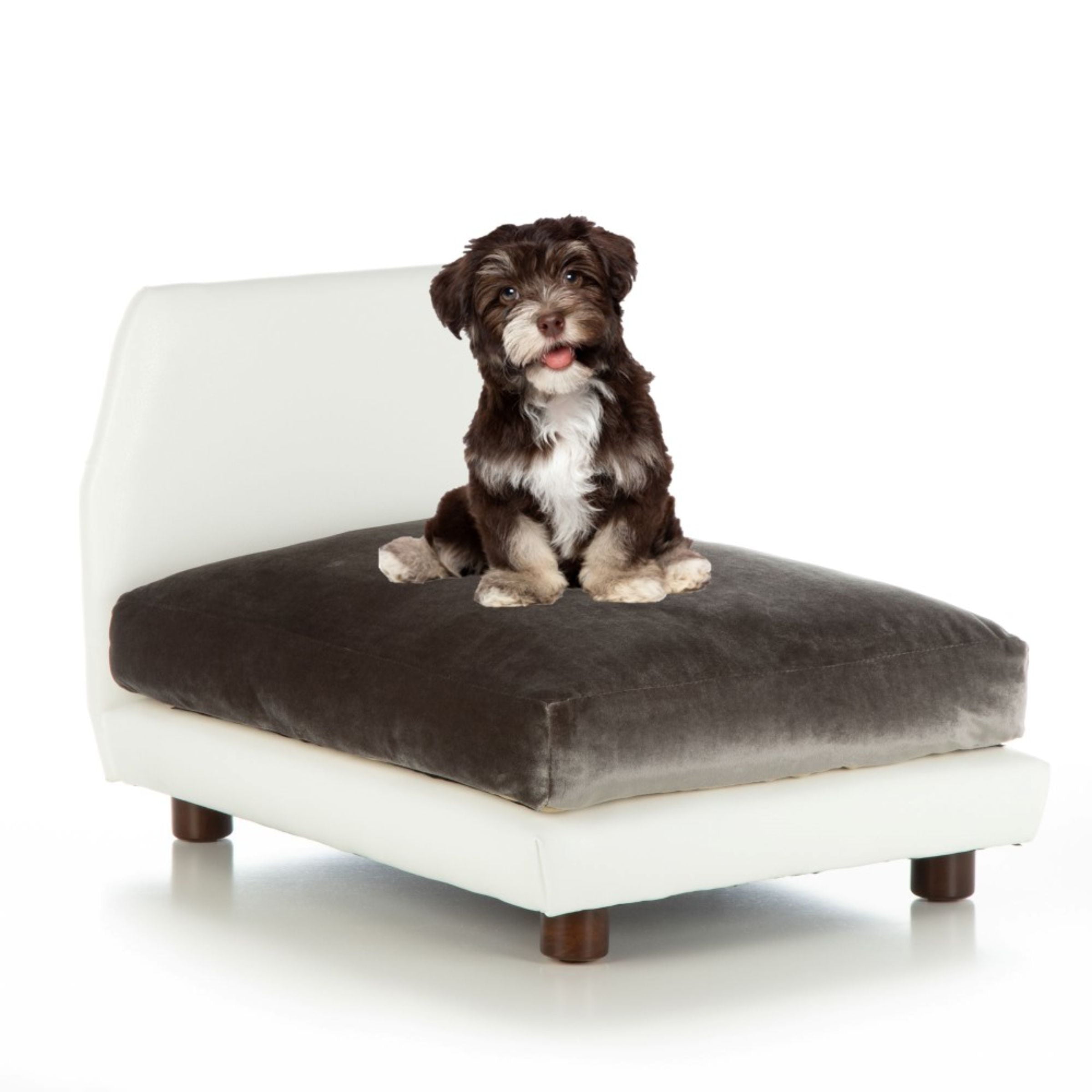 Club Nine Pets Lido Orthopedic Dog Bed， Large， Pewter.