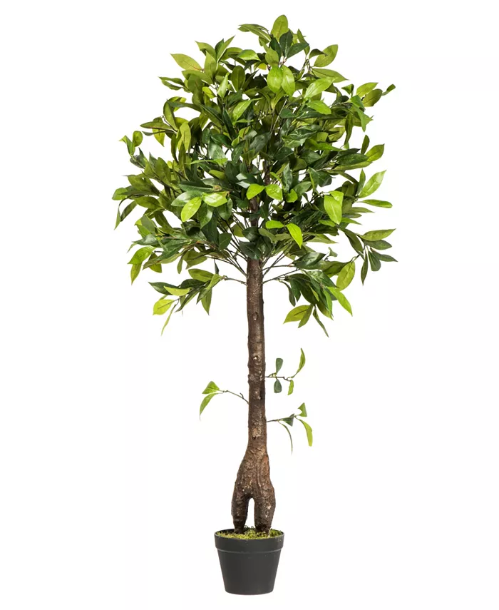 Vickerman 50