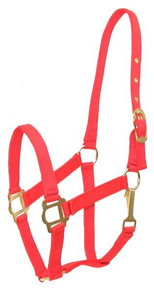 Gatsby Classic Nylon Halter/Snap Cob Red