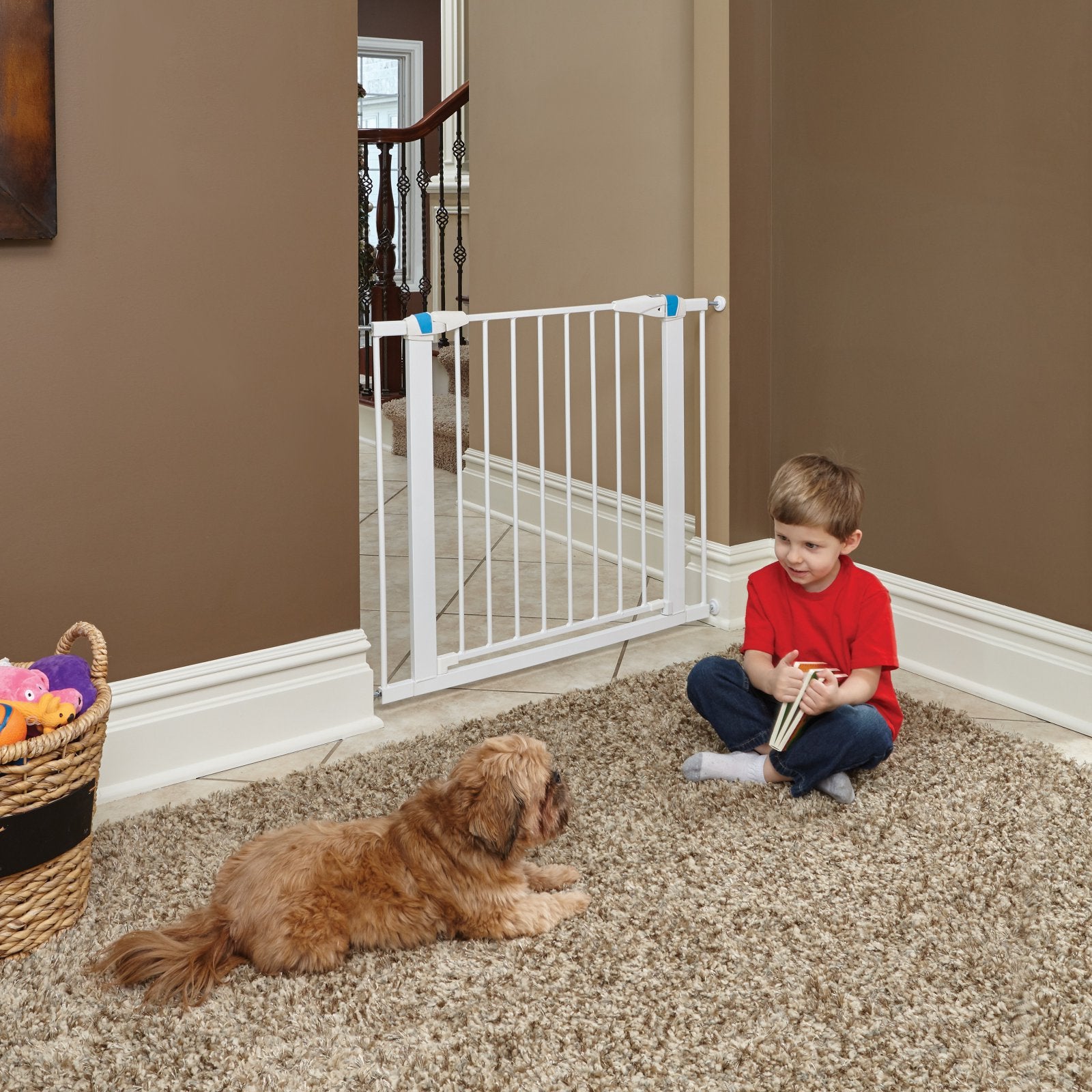 Midwest Homes for Pets Steel Gate with Glow in the Dark Strips