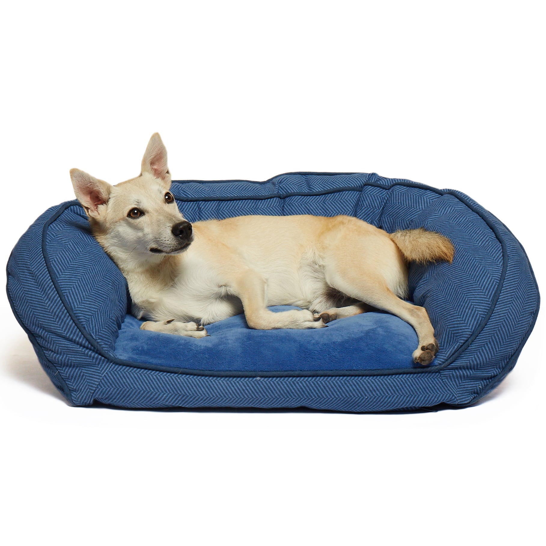 Precious Tails Curved Orthopedic Memory Foam Herringbone Canvas Sofa Pet Bed