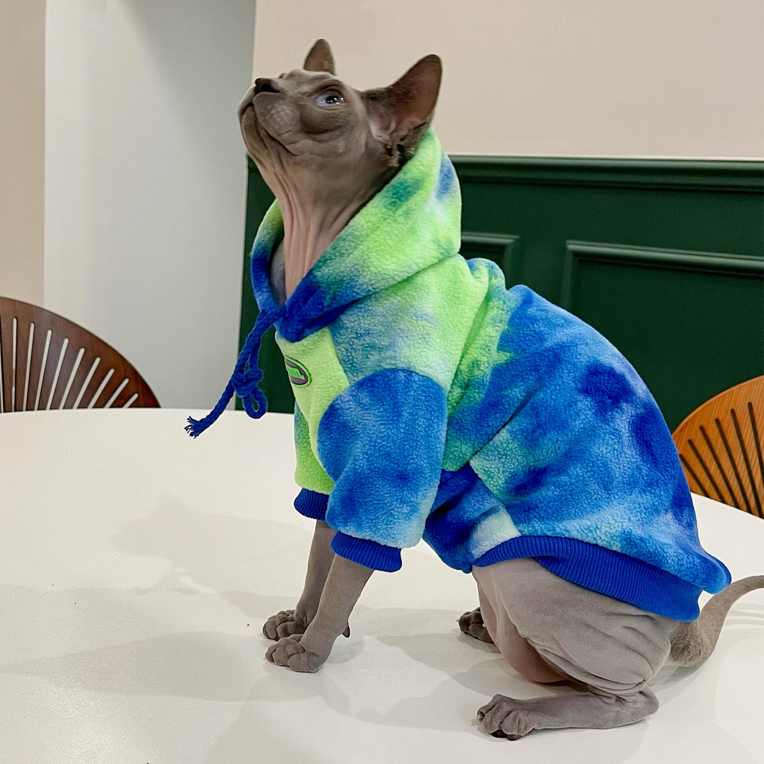 BT Bear Dog Hoodie Sweaters， Dog Winter Clothes， Pet Hooded Sweatershirt Pullover， Dog Outfit Coat Apparel for Small Medium Large Dogs Green XS