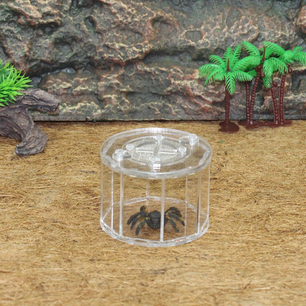 Acrylic ， Case ，Grasshopper Cage Tank， Bug Jar ， Catcher ，Small