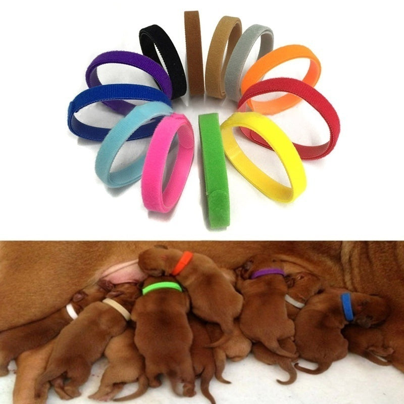 AkoaDa 12Pcs\/Pack Pet Collars Different Colors Soft Identification Mark For Cats Dogs Puppies Kitty Kitten Collars Leads Creative