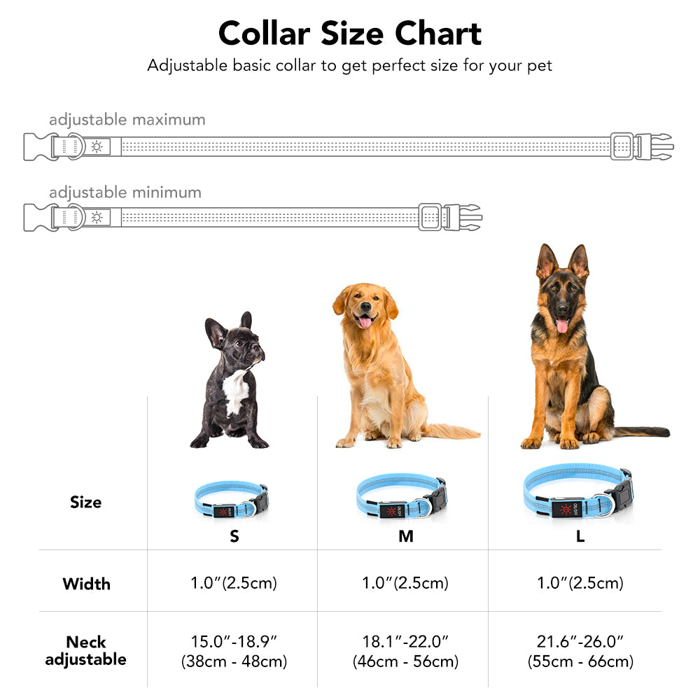 Bseen LED Dog Collar - Light up Dog Collar USB Rechargeable for Night Dog Walking(Blue， Large)