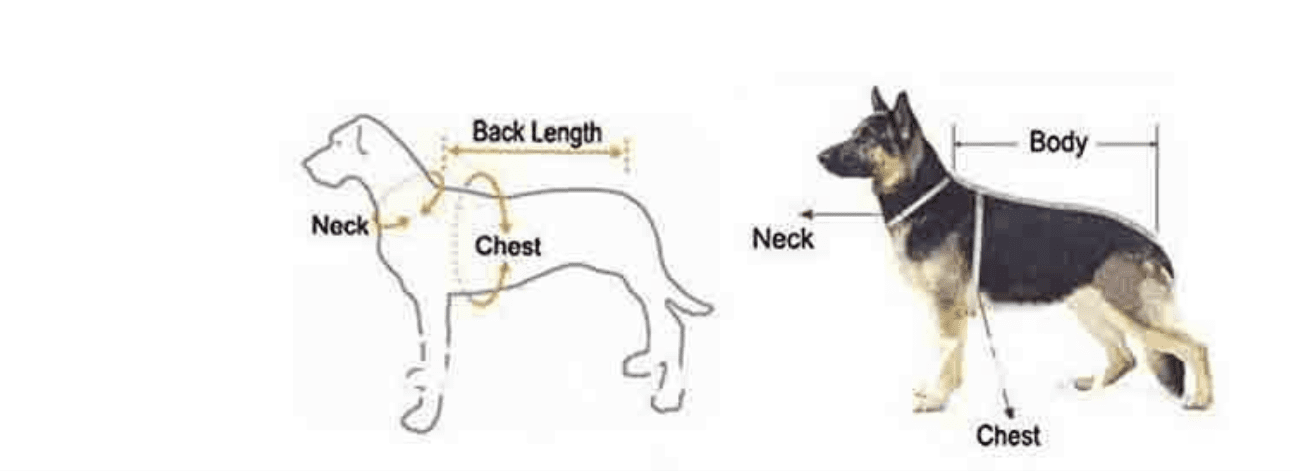 Cute Hello Kitty Logo t-Shirt Pink Hello Kitty Design Shirt FOR SMALL DOGS Small Dog Sweater (SMALL)