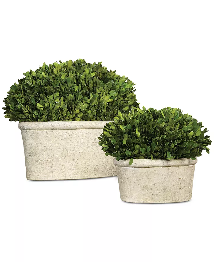 Uttermost Preserved Boxwood Oval Domes， Set of 2