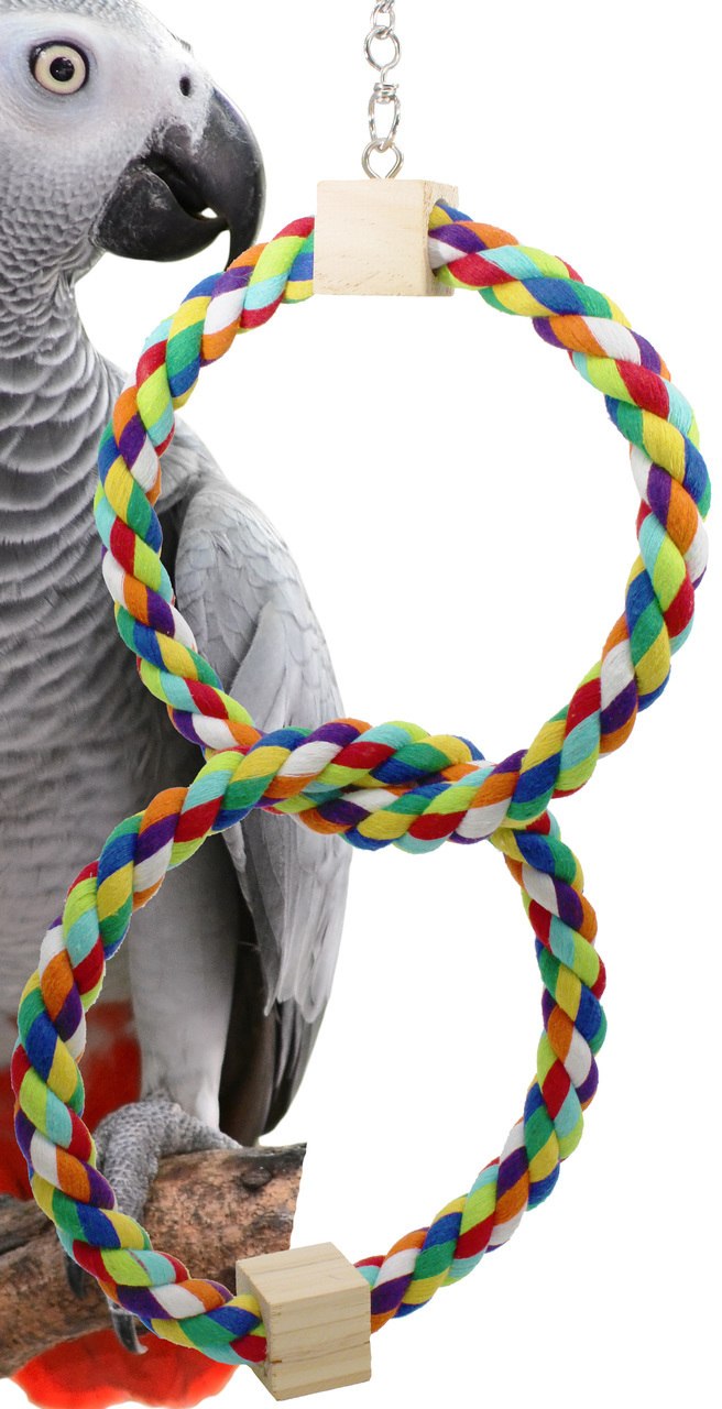 1677 Twin Rainbow Ring Bird Toy