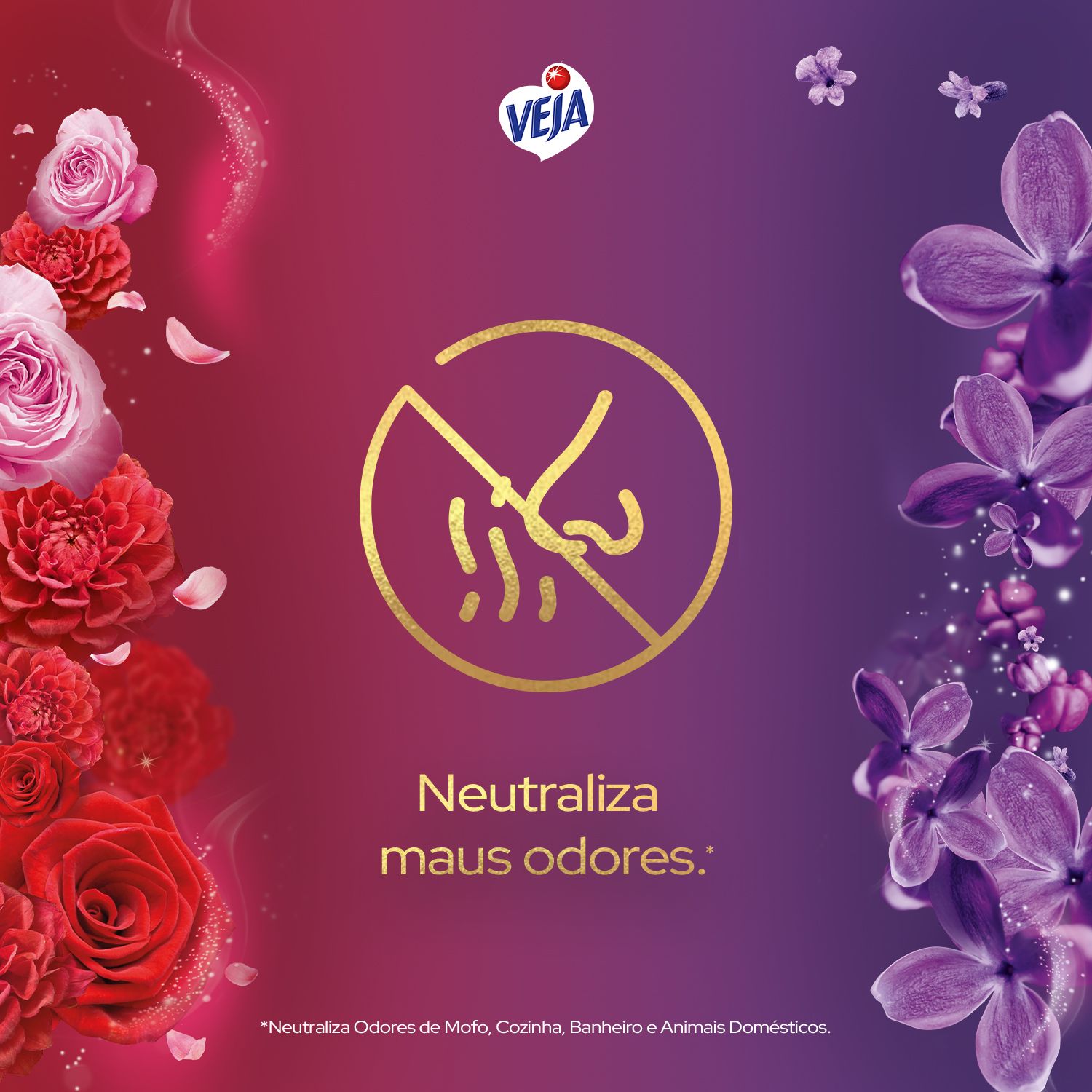 Veja Perfumes Especiais Limpador Perfumado Marcante e Envolvente - 2L