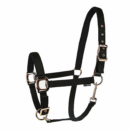 Lettia Breakaway Rosegold Halter Horse Black