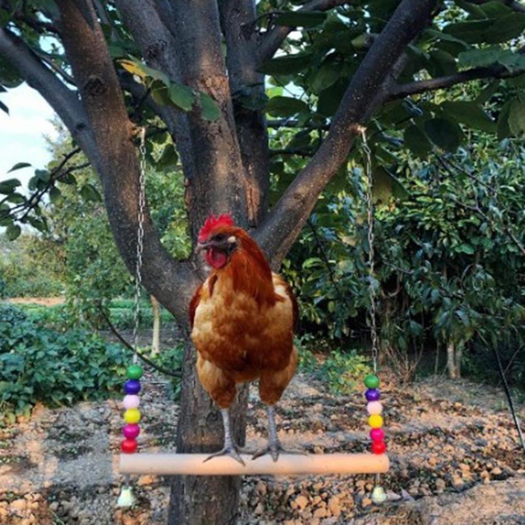 Natural Wooden Chicken Swing Toys， Chicken Wood Stand Toy， Chicken Coop Accessories， Chicken Swing Perch Toy for Chicken Hens Parakeet Bird Trainning