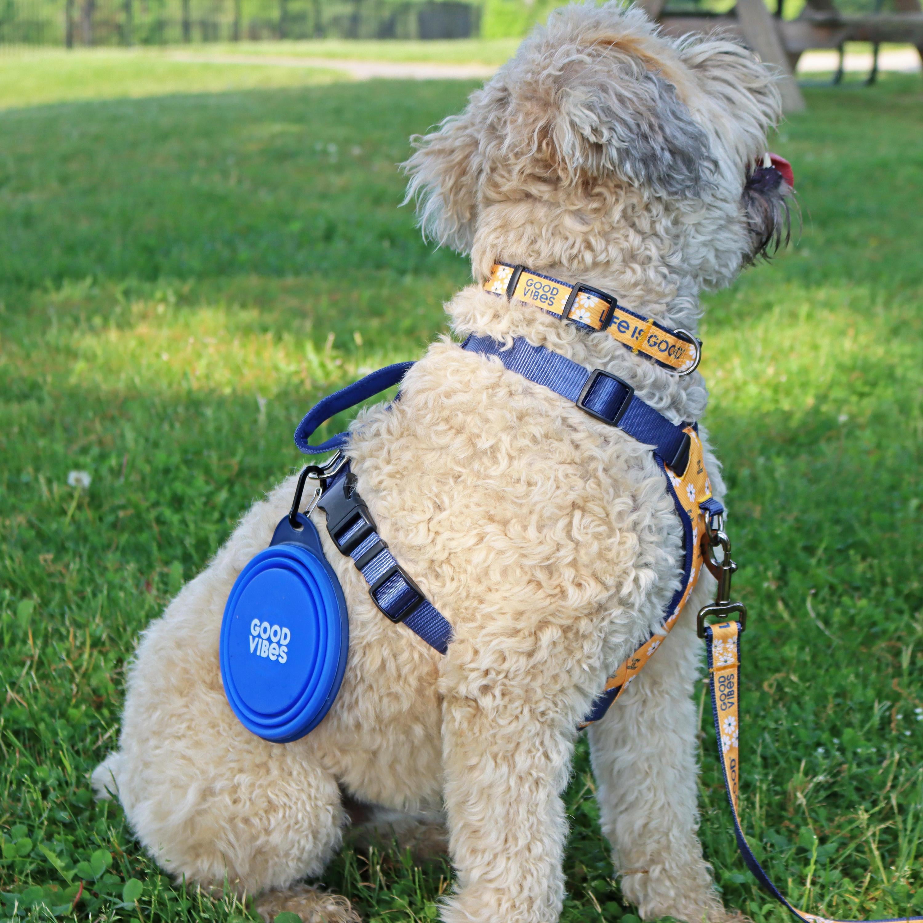 Life is Good® Canvas Overlay Dog Collar， Yellow Good Vibes， 5/8