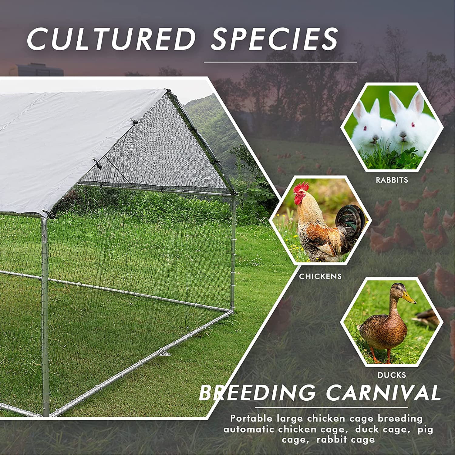 Waleaf Large Metal Chicken coop Run for Yard with Cover， Large Walk in Chicken cage for Outside，Galvanized Rabbits Duck Run and coops，Chicken Pen with Waterproof Cover for Outdoor，Backyard and Farm