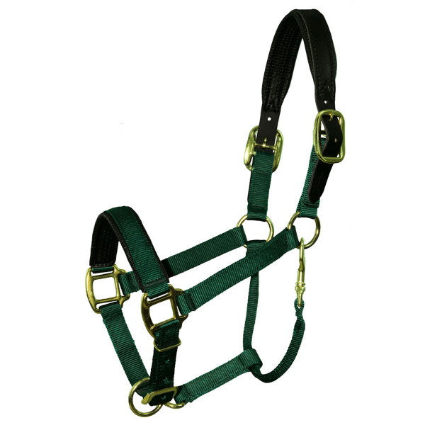 Intrepid International TH41BK Size 5-8 Breakaway Halter Padded Crown and Noseand#44; Black - Cob