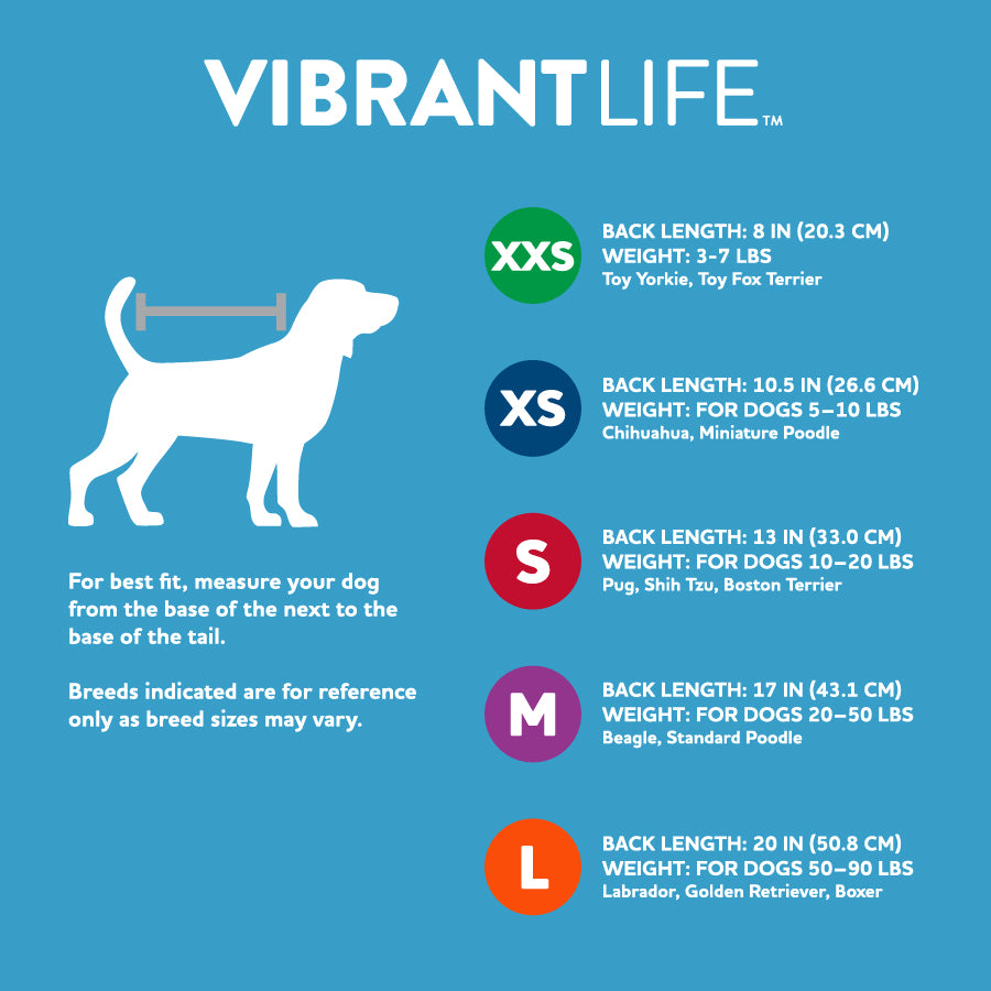 Holiday Time Pet Ugly Sweater: Santa on Unicorn， Size Medium