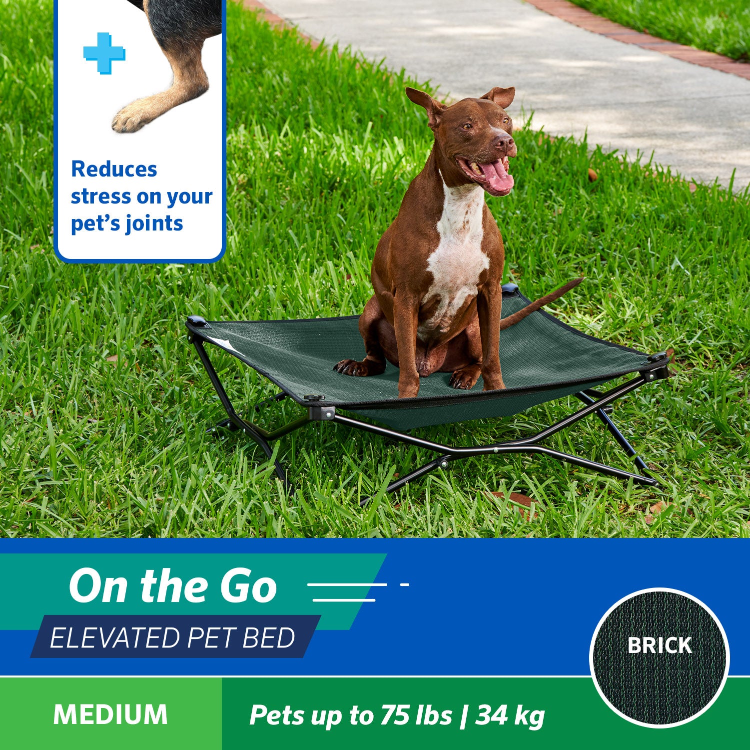 Coolaroo On the Go Elevated Travel Dog Bed， Medium， Brunswick Green