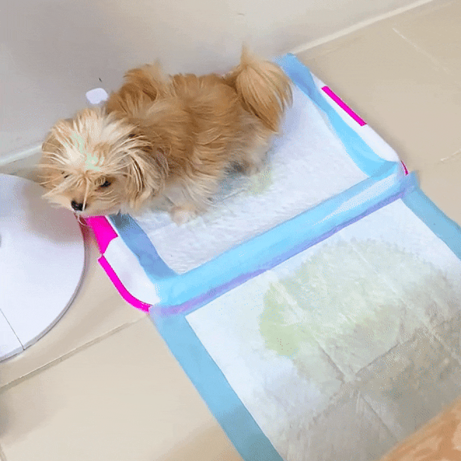 Puppy Training Pads | Leak-Proof Pet Pee Pads with Odor Control & Quick-Dry Surface