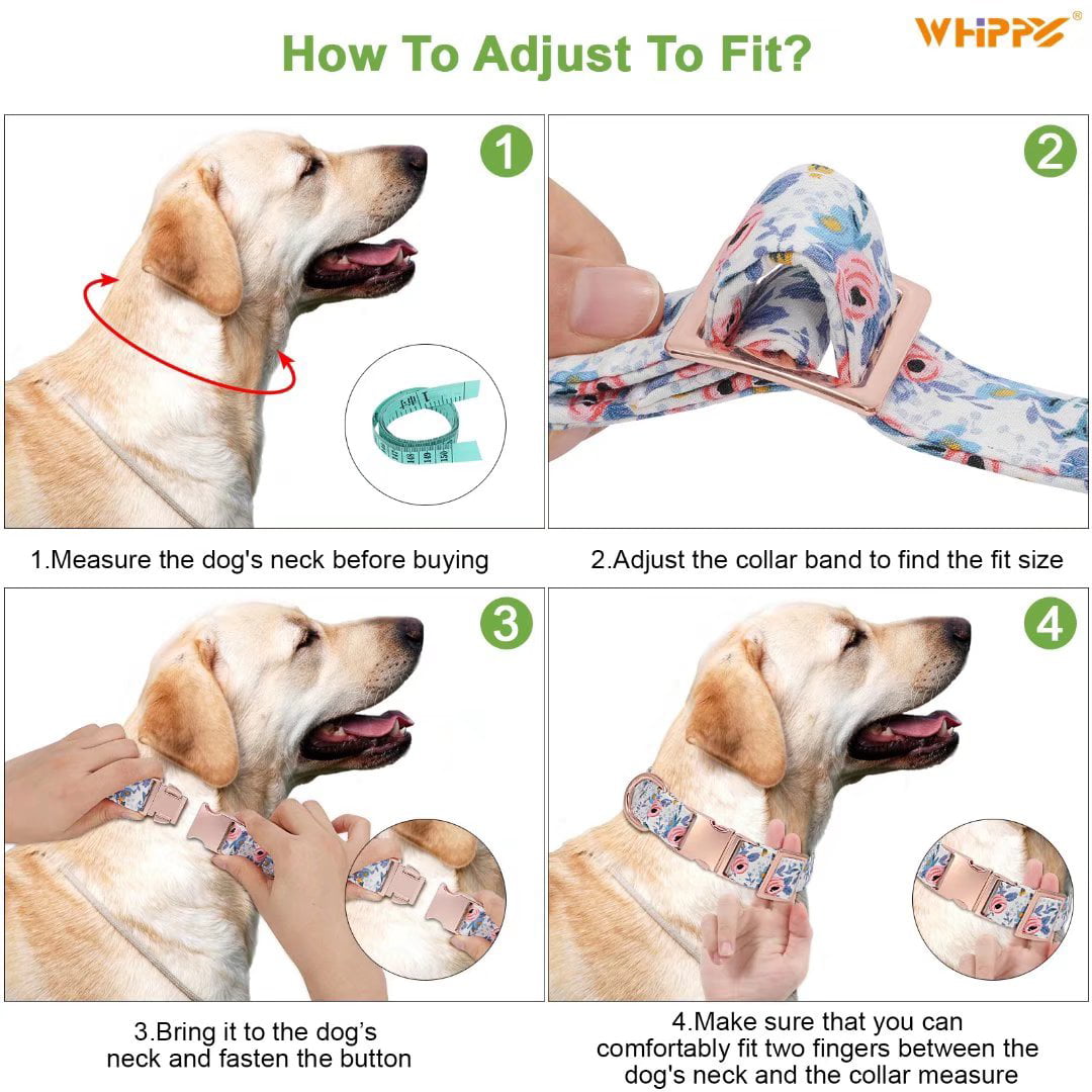 WHIPPY Dog Collar with Bowtie， Adjustable Girl Dog Collar for Small Medium Large Dogs