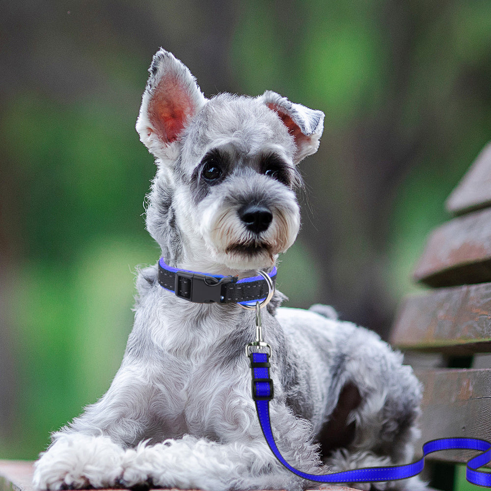 MASBRILL Dog Collar for Small Dogs - Special Design Puppy Collar Small Pet Collar Soft Adjustable Dog Collar for Puppies-XS(7-10in)-Blue