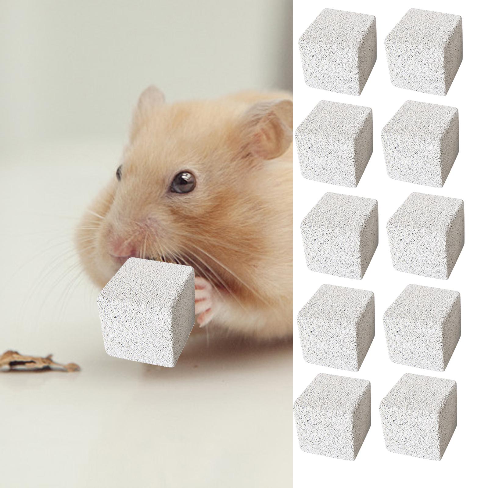 Set of 10 Stone Square Hamster Grinding Pet Supplies Grinding Chewing Toy Rodent Play Indoor Pet Playing Chew Toy Rat 3cm