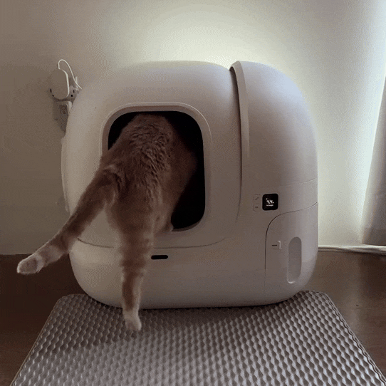 Automatic Cat Litter Box with Odor Control & App Monitoring | Smart Multi-Cat Litter Robot