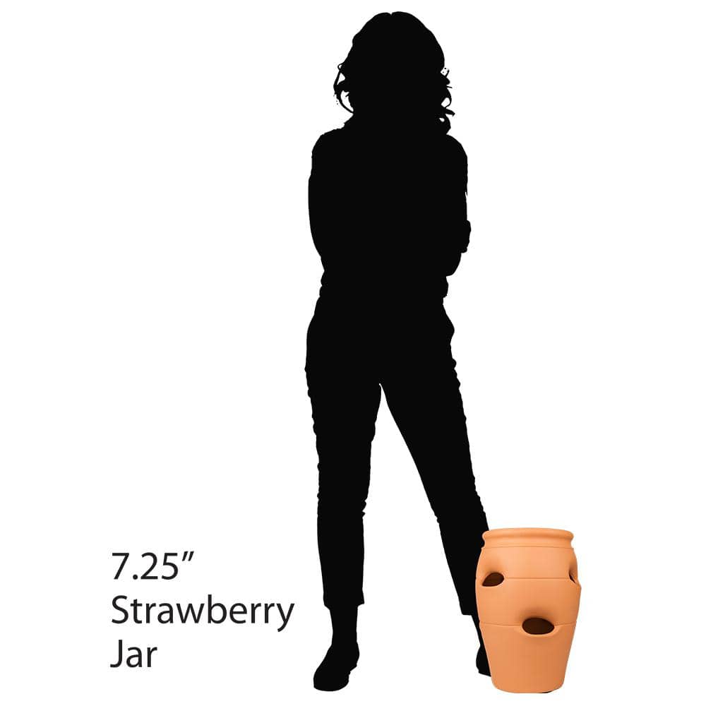 Pennington 2 Gal. 6 Pocket Terra Cotta Strawberry Pot 100043142