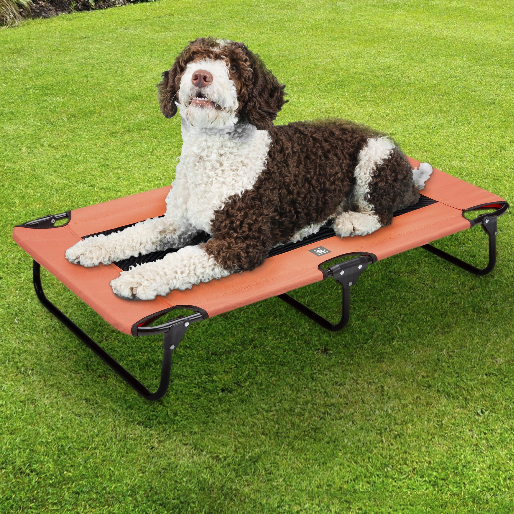 Best Friends Folding Dog Cot mesh center for ventilation with foldable legs for easy travel - For pet up to 50 lbs - Orange and Gray， Dimensions