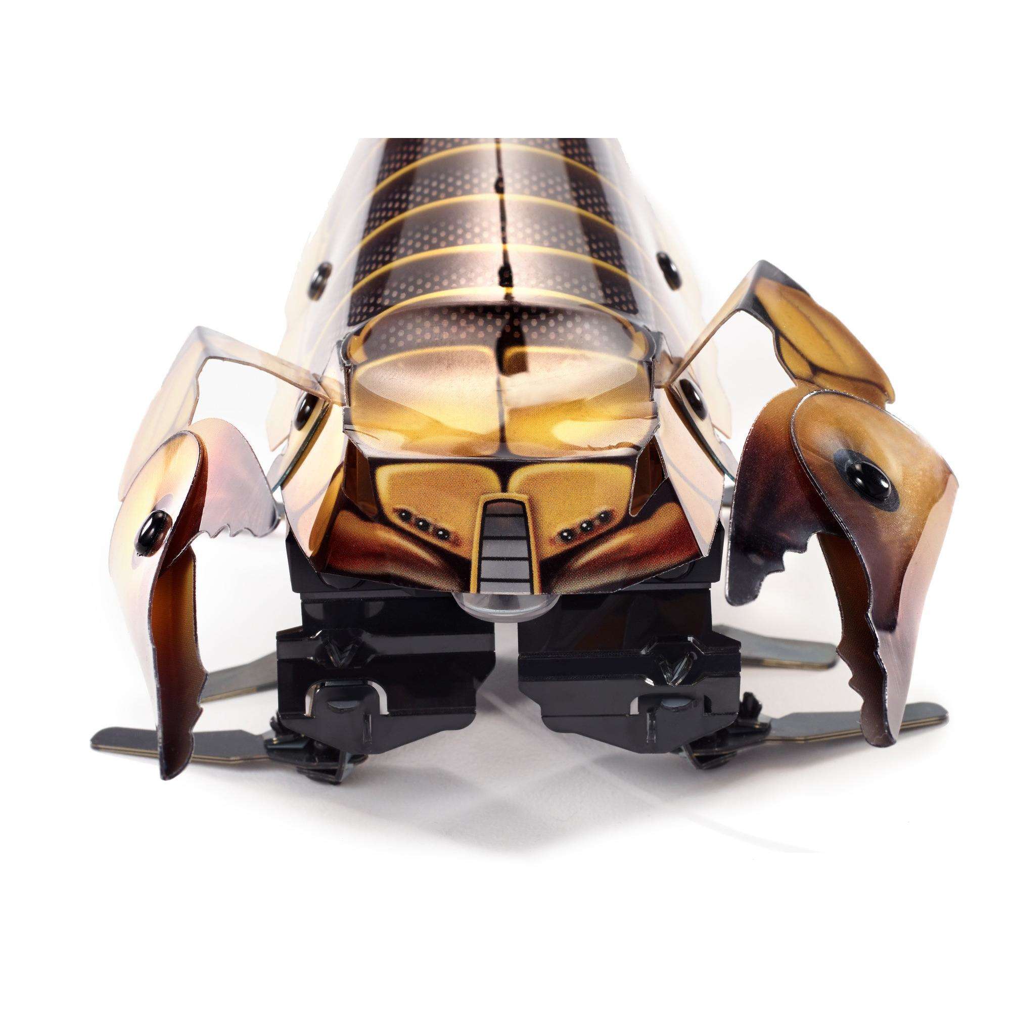 Kamigami Scarrax Battle Robot， Engineering Build Program Play