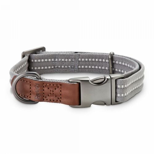 Reddy Grey Webbed Dog Collar， X-Small - 10 - 12 in
