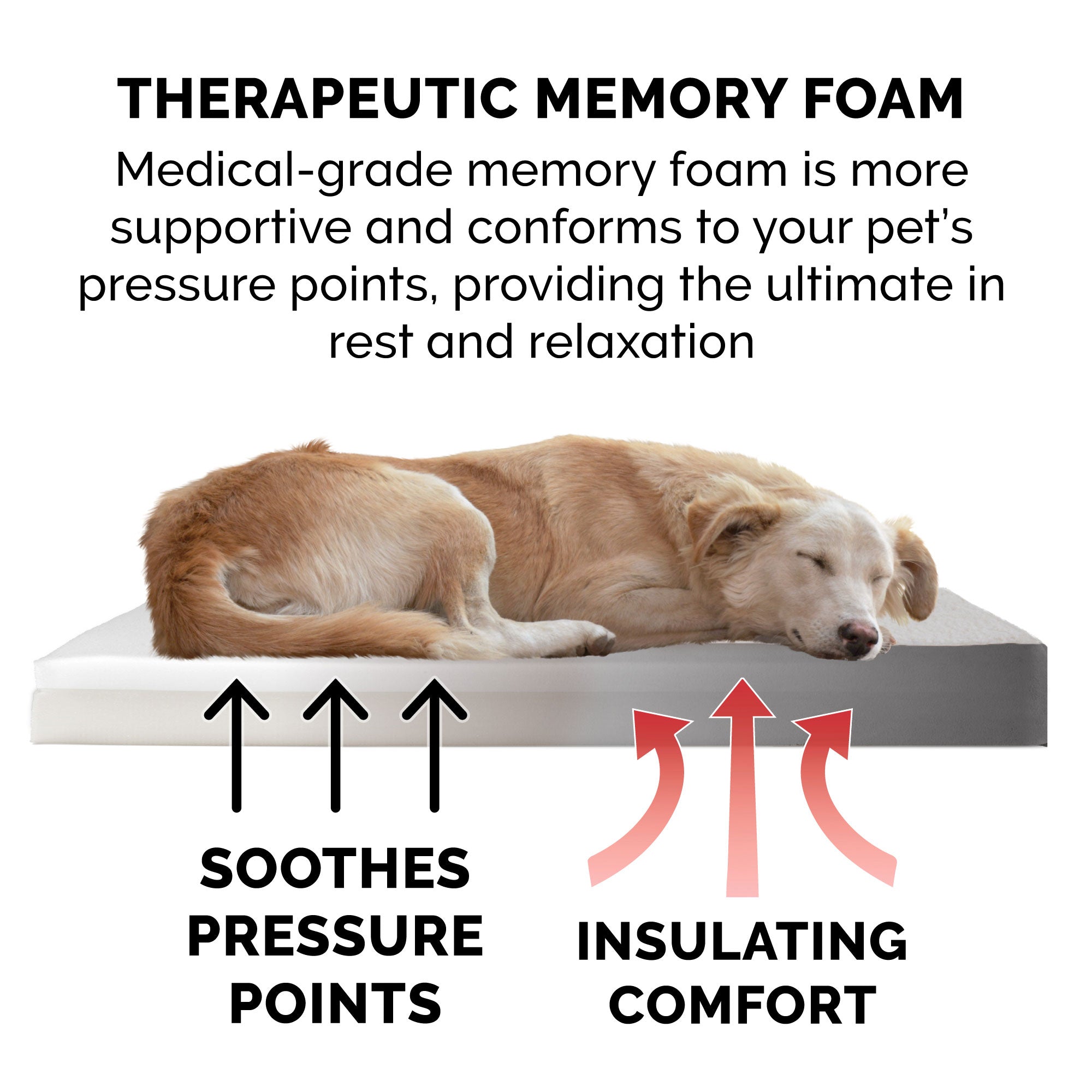 FurHaven Pet Products， Memory Foam Pet Bed for Dogs and Cats， Gray， Jumbo Plus