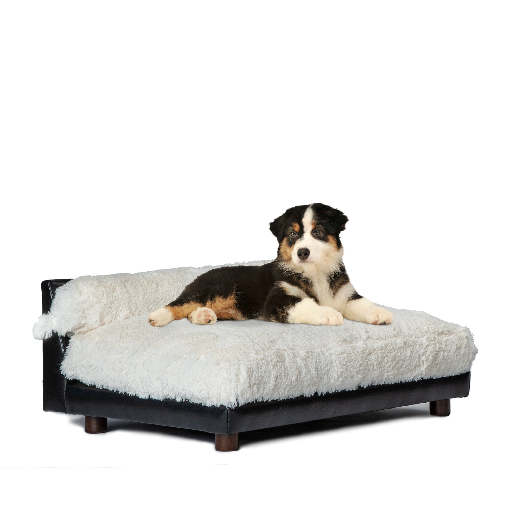Club Nine Pets Roma Orthopedic Dog Bed， Small， Ivory