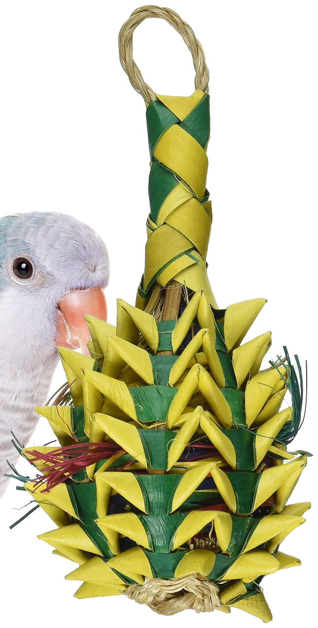 03364 Small Pineapple Foraging Bird Toy