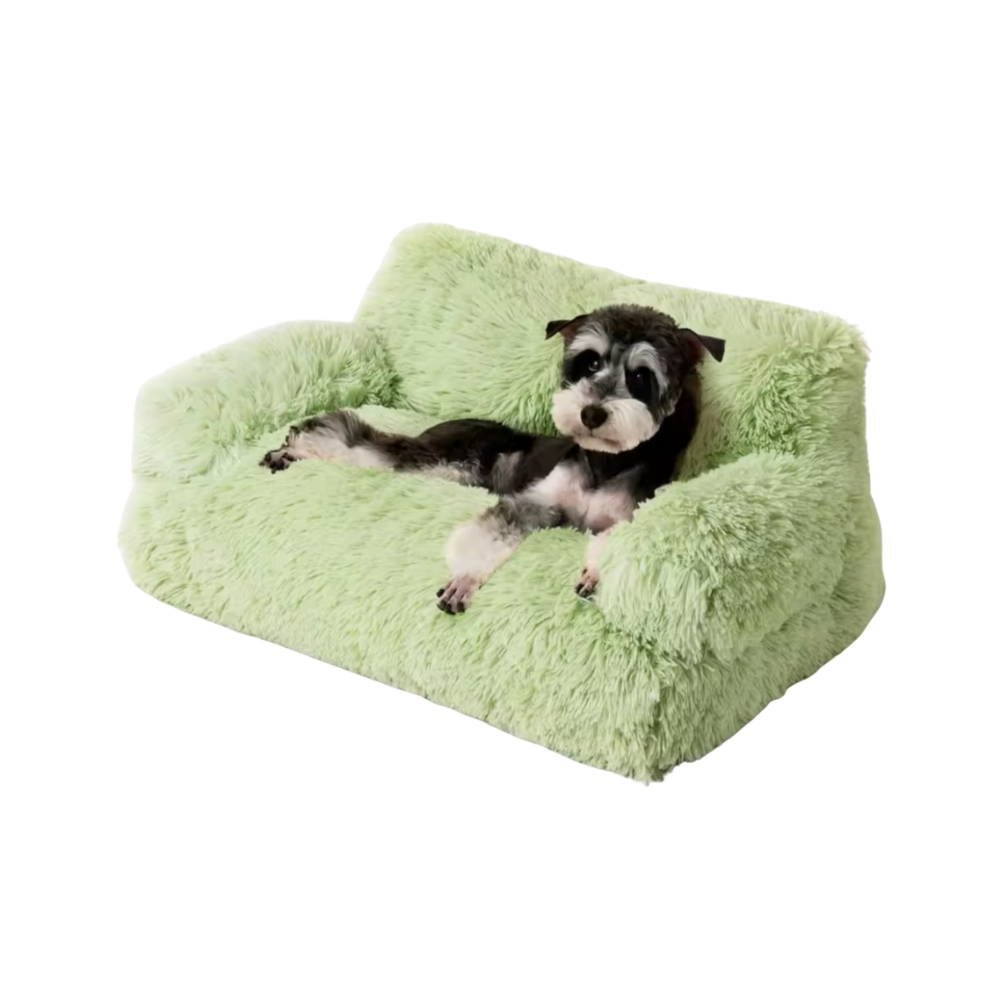 Elevated Pet Sofa Bed | Washable Plush Bed for Small Dogs & Cats
