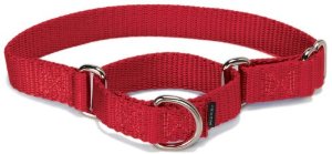 PetSafe Nylon Martingale Dog Collar， Medium 10 to 16-in neck， 3/4-in W